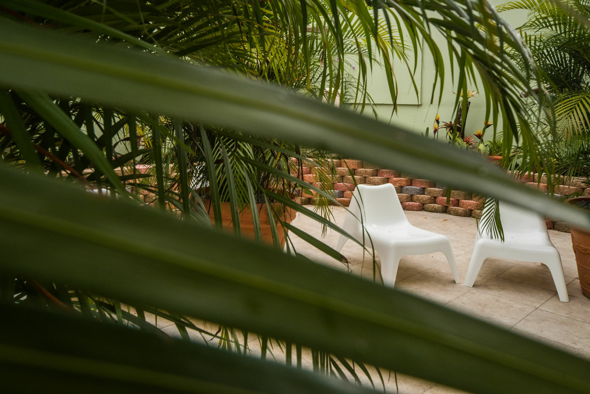 Rincon Plaza Hotel Exterior photo